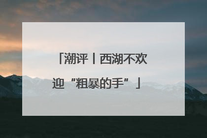 潮评丨西湖不欢迎“粗暴的手”