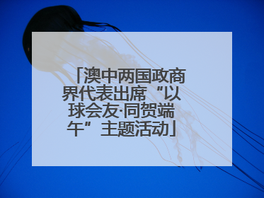 澳中两国政商界代表出席“以球会友·同贺端午”主题活动