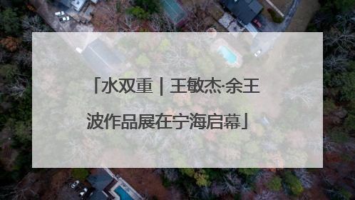 水双重｜王敏杰·余王波作品展在宁海启幕