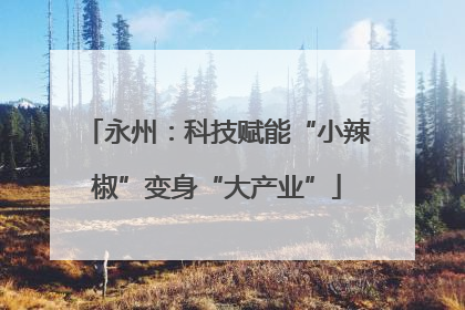永州：科技赋能“小辣椒”变身“大产业”