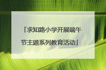 求知路小学开展端午节主题系列教育活动