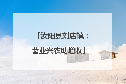 汝阳县刘店镇：薯业兴农助增收