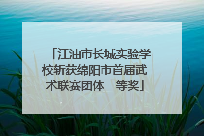 江油市长城实验学校斩获绵阳市首届武术联赛团体一等奖