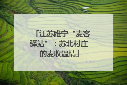 江苏睢宁“麦客驿站”：苏北村庄的麦收温情