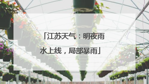 江苏天气：明夜雨水上线，局部暴雨