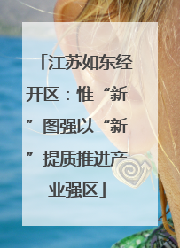 江苏如东经开区：惟“新”图强以“新”提质推进产业强区