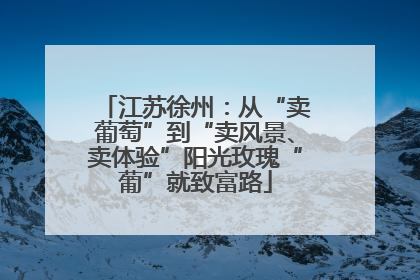 江苏徐州：从“卖葡萄”到“卖风景、卖体验”阳光玫瑰“葡”就致富路