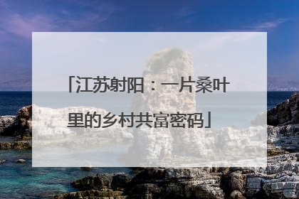 江苏射阳：一片桑叶里的乡村共富密码
