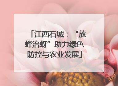 江西石城：“放蜂治蚜”助力绿色防控与农业发展