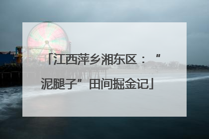 江西萍乡湘东区：“泥腿子”田间掘金记