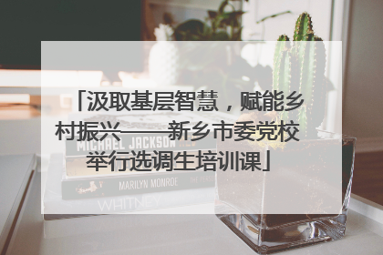 汲取基层智慧，赋能乡村振兴——新乡市委党校举行选调生培训课