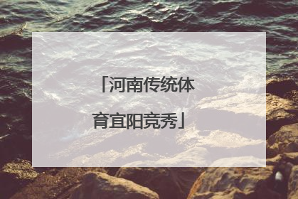 河南传统体育宜阳竞秀