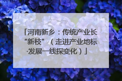 河南新乡：传统产业长“新枝”（走进产业地标·发展一线探变化）