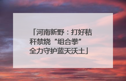 河南新野：打好秸秆禁烧“组合拳” 全力守护蓝天沃土