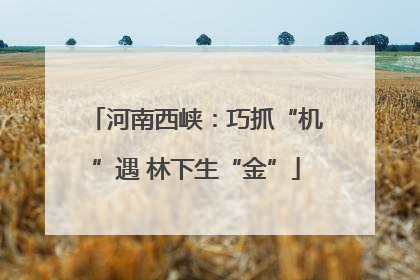 河南西峡：巧抓“机”遇 林下生“金”