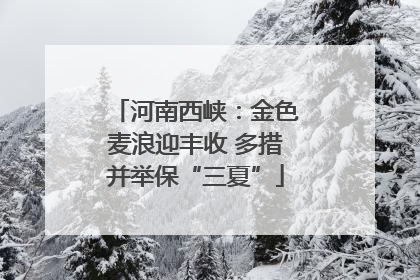 河南西峡：金色麦浪迎丰收 多措并举保“三夏”