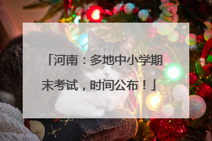 河南：多地中小学期末考试，时间公布！