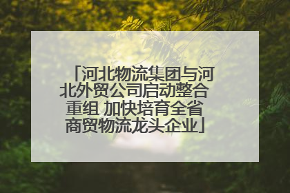 河北物流集团与河北外贸公司启动整合重组 加快培育全省商贸物流龙头企业