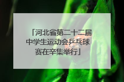 河北省第二十二届中学生运动会乒乓球赛在辛集举行
