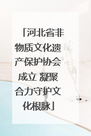 河北省非物质文化遗产保护协会成立 凝聚合力守护文化根脉