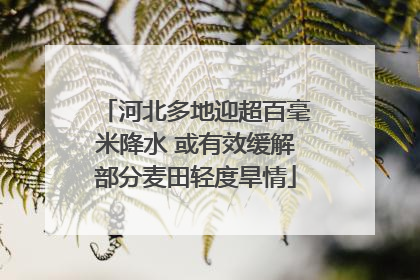 河北多地迎超百毫米降水 或有效缓解部分麦田轻度旱情