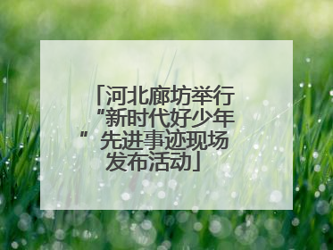 河北廊坊举行“新时代好少年”先进事迹现场发布活动