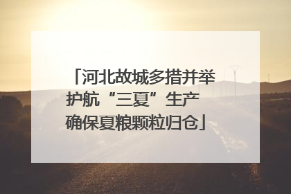 河北故城多措并举护航“三夏”生产 确保夏粮颗粒归仓