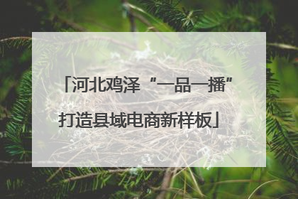 河北鸡泽“一品一播”打造县域电商新样板