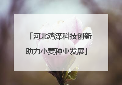 河北鸡泽科技创新助力小麦种业发展