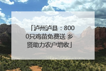 泸州泸县：8000只鸡苗免费送 乡贤助力农户增收