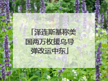 泽连斯基称美国两万枚援乌导弹改运中东