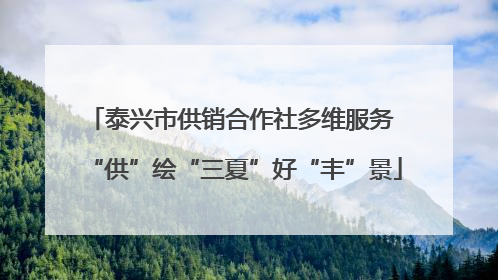 泰兴市供销合作社多维服务 “供”绘“三夏”好“丰”景