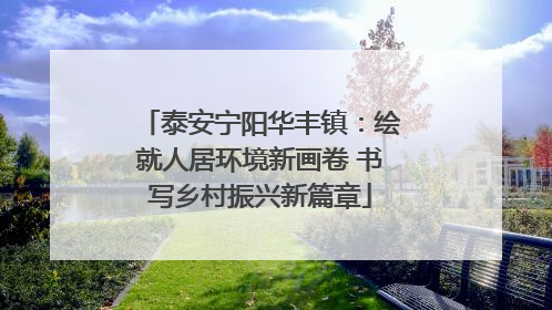 泰安宁阳华丰镇：绘就人居环境新画卷 书写乡村振兴新篇章