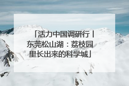 活力中国调研行丨东莞松山湖：荔枝园里长出来的科学城