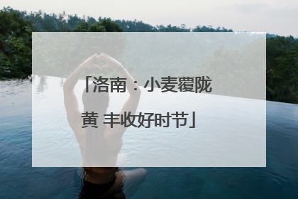 洛南：小麦覆陇黄 丰收好时节