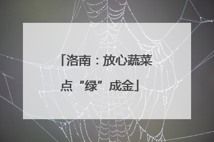 洛南：放心蔬菜点“绿”成金