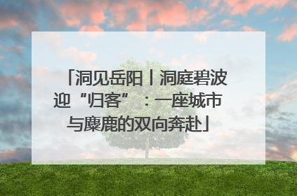 洞见岳阳丨洞庭碧波迎“归客”：一座城市与麋鹿的双向奔赴