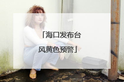 海口发布台风黄色预警