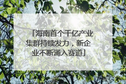 海南首个千亿产业集群持续发力，新企业不断涌入赛道