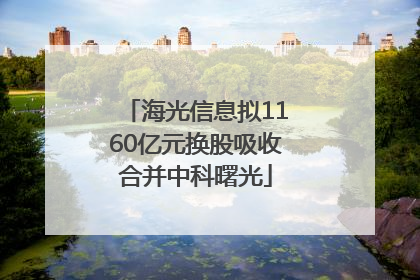 海光信息拟1160亿元换股吸收合并中科曙光