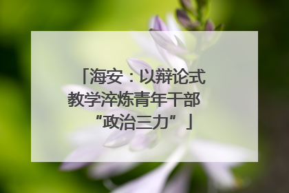 海安：以辩论式教学淬炼青年干部“政治三力”