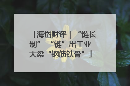 海岱财评｜“链长制” “链”出工业大梁“钢筋铁骨”