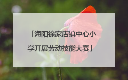 海阳徐家店镇中心小学开展劳动技能大赛