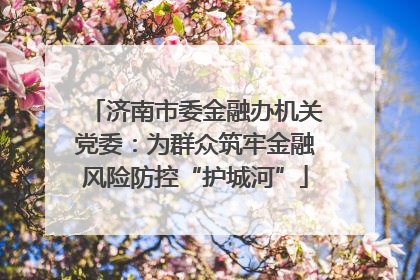 济南市委金融办机关党委：为群众筑牢金融风险防控“护城河”