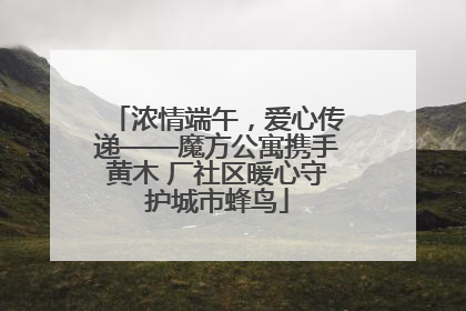 浓情端午，爱心传递——魔方公寓携手黄木 厂社区暖心守护城市蜂鸟