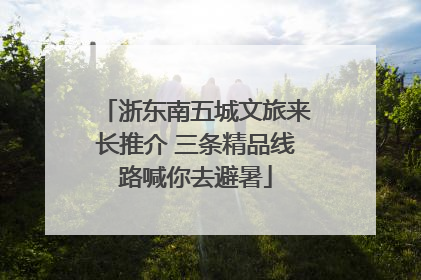 浙东南五城文旅来长推介 三条精品线路喊你去避暑
