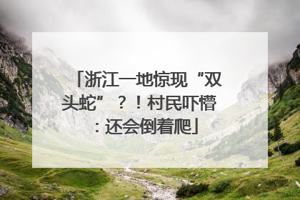 浙江一地惊现“双头蛇”？！村民吓懵：还会倒着爬