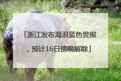 浙江发布海浪蓝色警报，预计16日傍晚解除