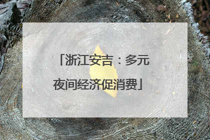 浙江安吉：多元夜间经济促消费