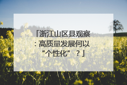 浙江山区县观察：高质量发展何以“个性化”？